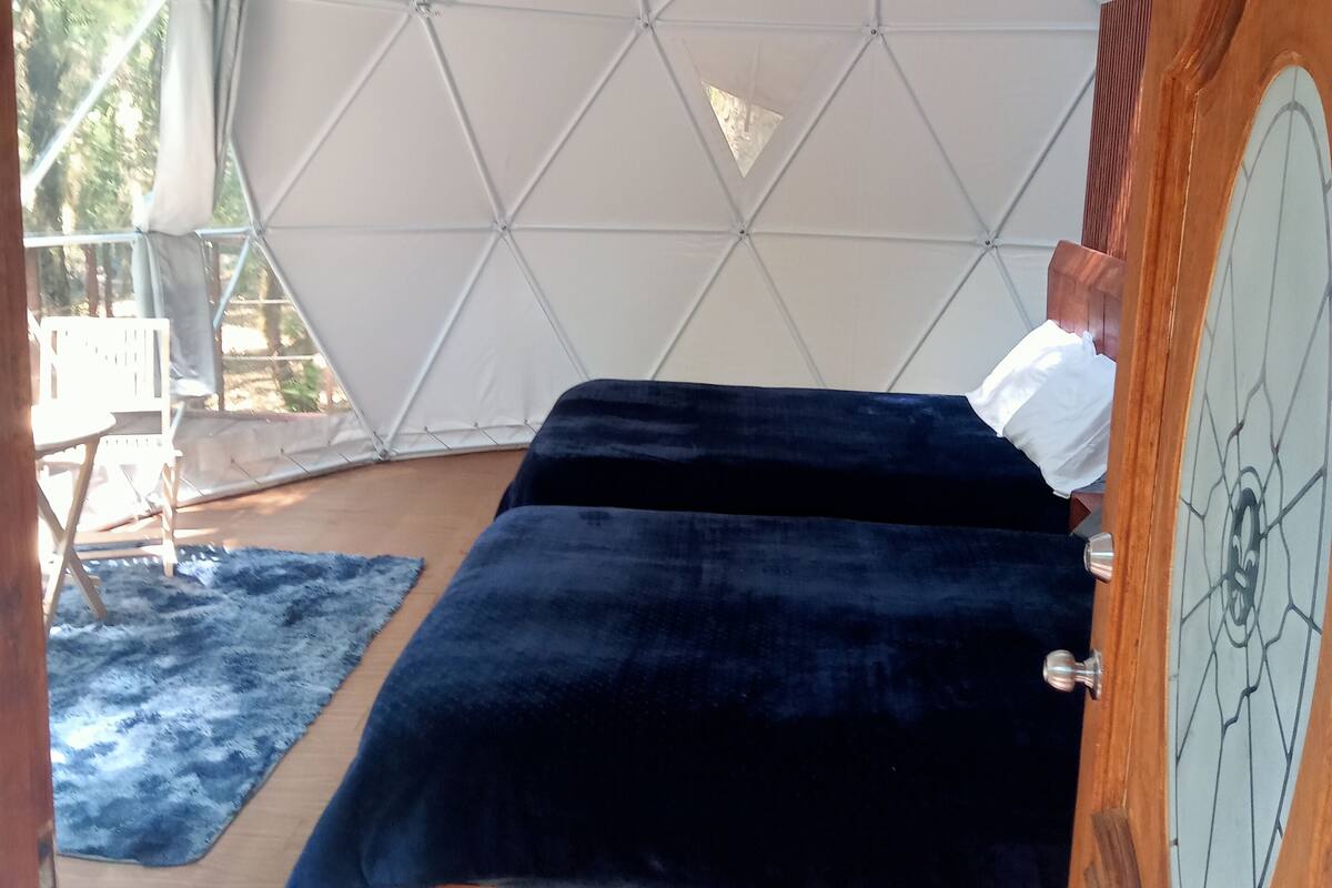 A tented room with a bed, a wooden door with a glass panel, and a blue rug.