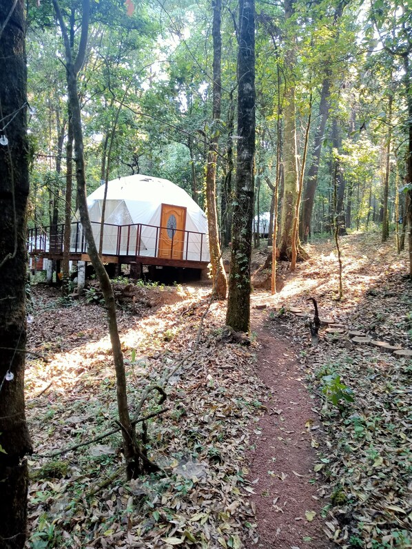 Exterior - Glamping Don Delfis (Valle de Bravo)