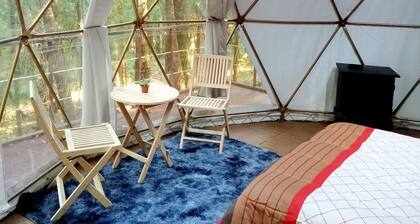 Glamping Don Delfis