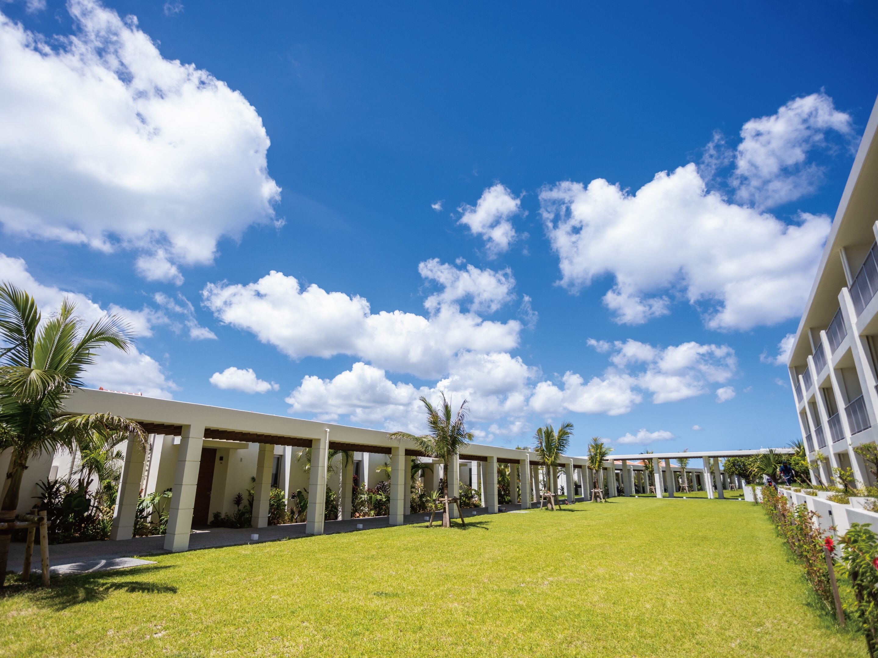 Jardim