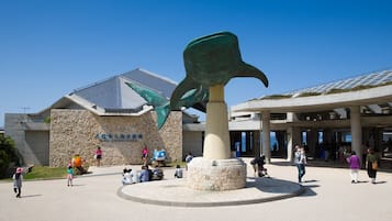A large sculpture of a fish in front of a building with a stone facade and a blue sign.