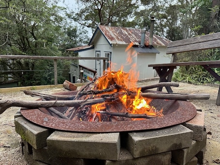 Property grounds. Bedford Cottage - Cosy mountain bush retreat.