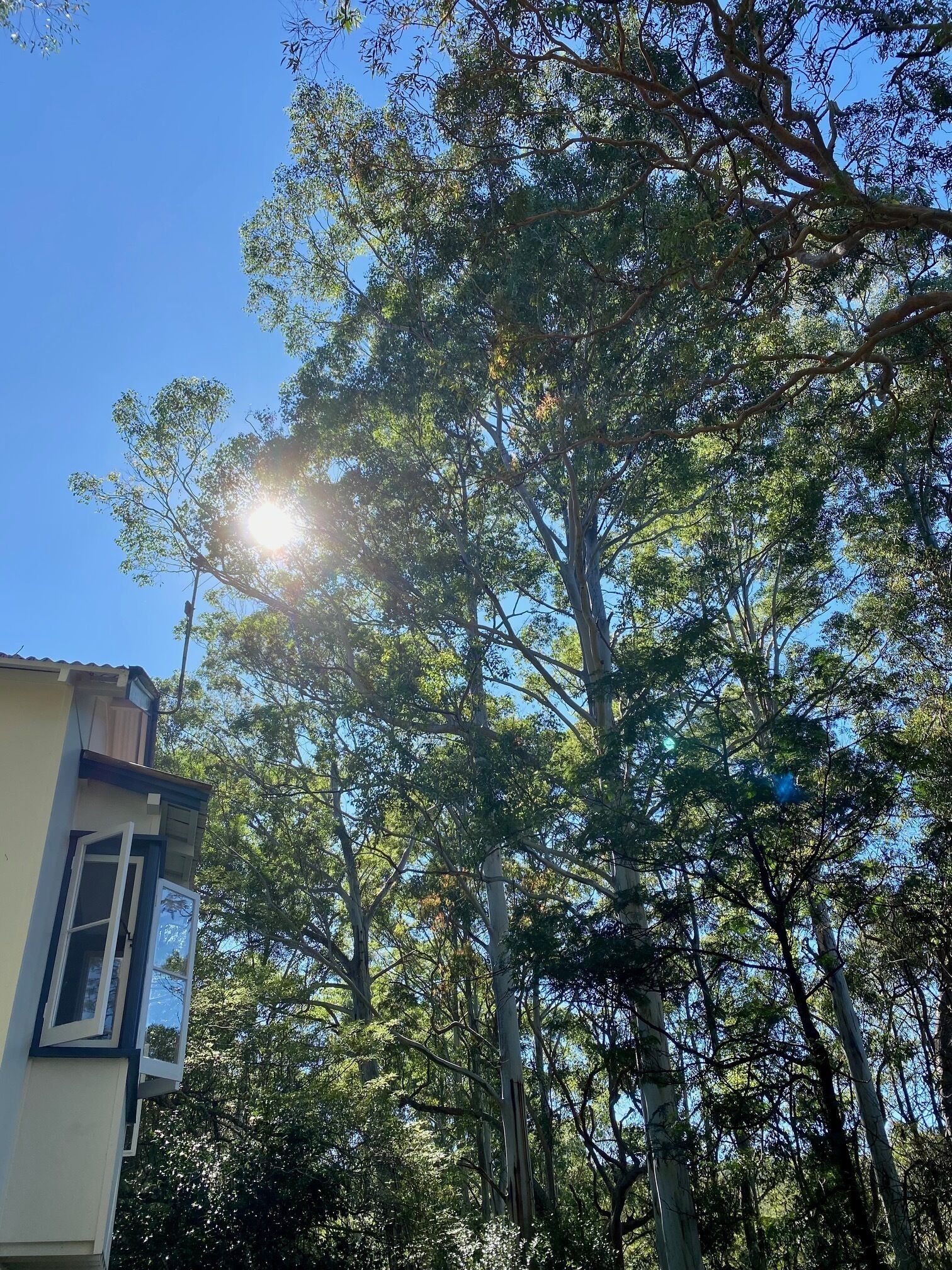 A building with a clear view of the sky and surrounding trees.