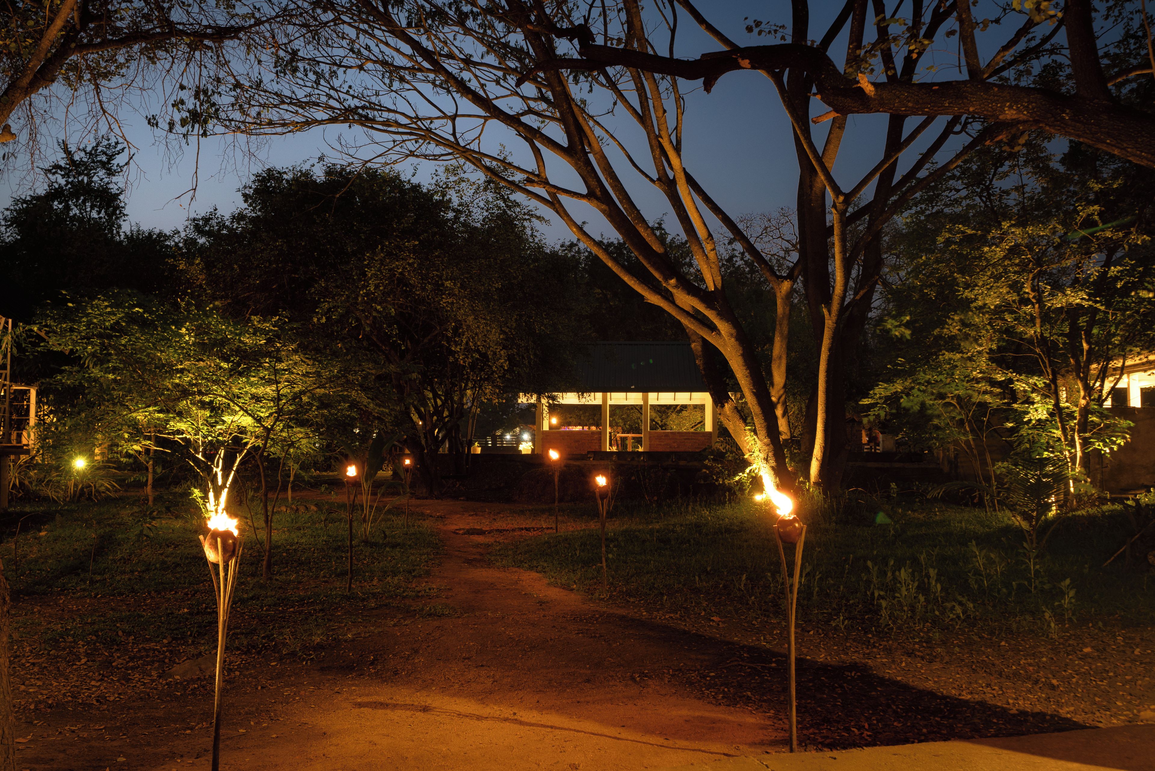 A pathway leading to a building with a glass facade, surrounded by trees and illuminated by ground lights.