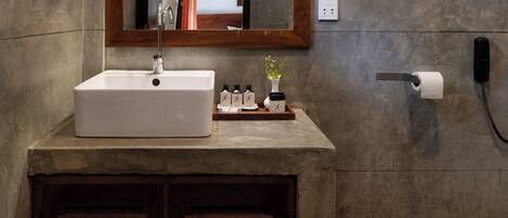 A bathroom with a large sink, a mirror, a telephone, and a small plant on the countertop.