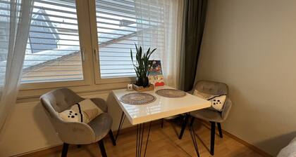 Modernes Studio 2 Minuten zu Fuß von den Bergbahnen.