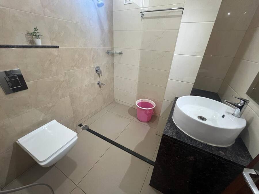 A bathroom with a toilet, sink, shower, and a small shelf with a plant.