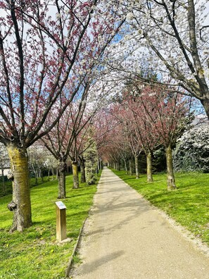Overnattingsstedets uteområder