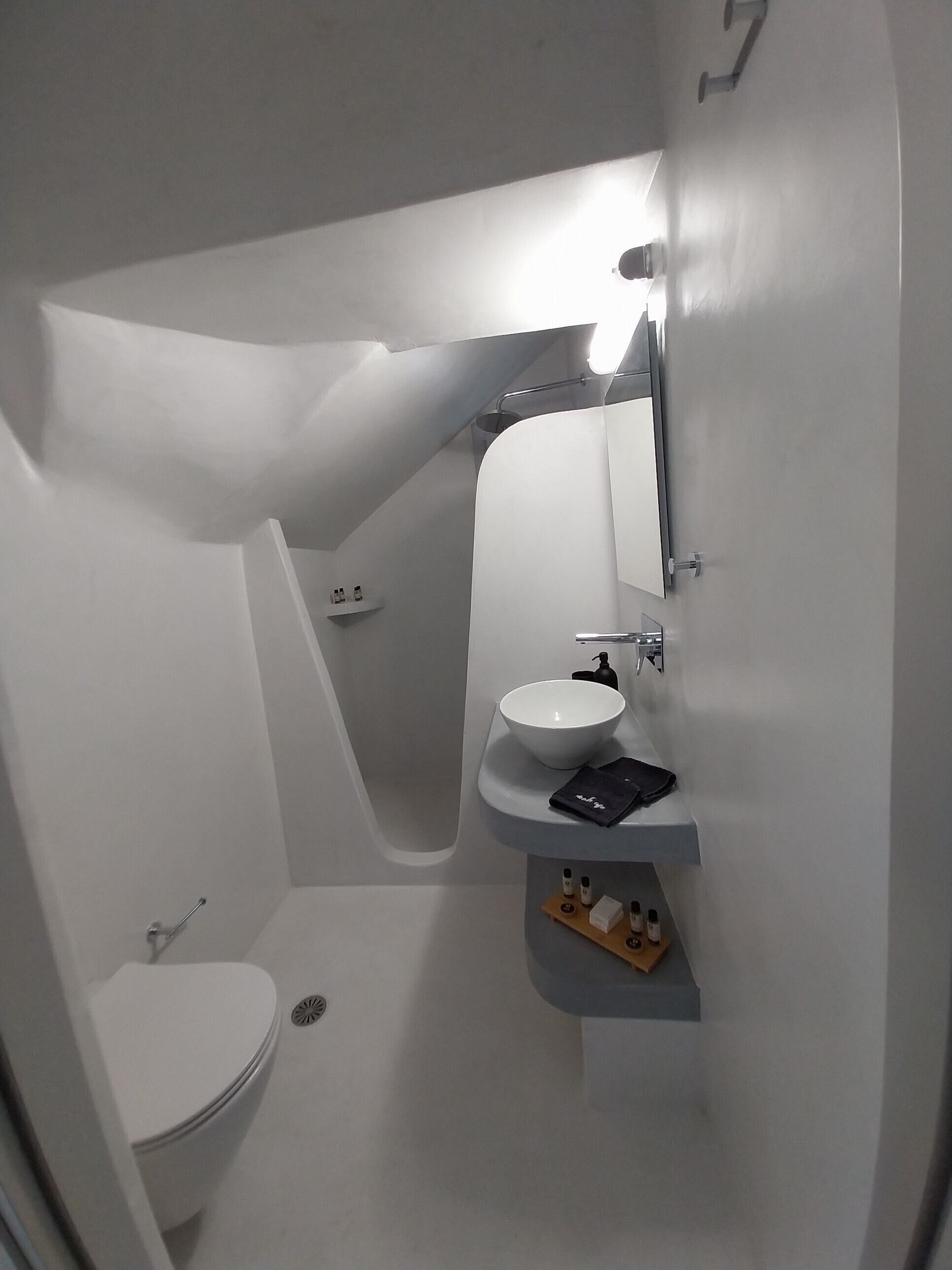 Une petite salle de bain comprenant des toilettes, un lavabo et une douche.