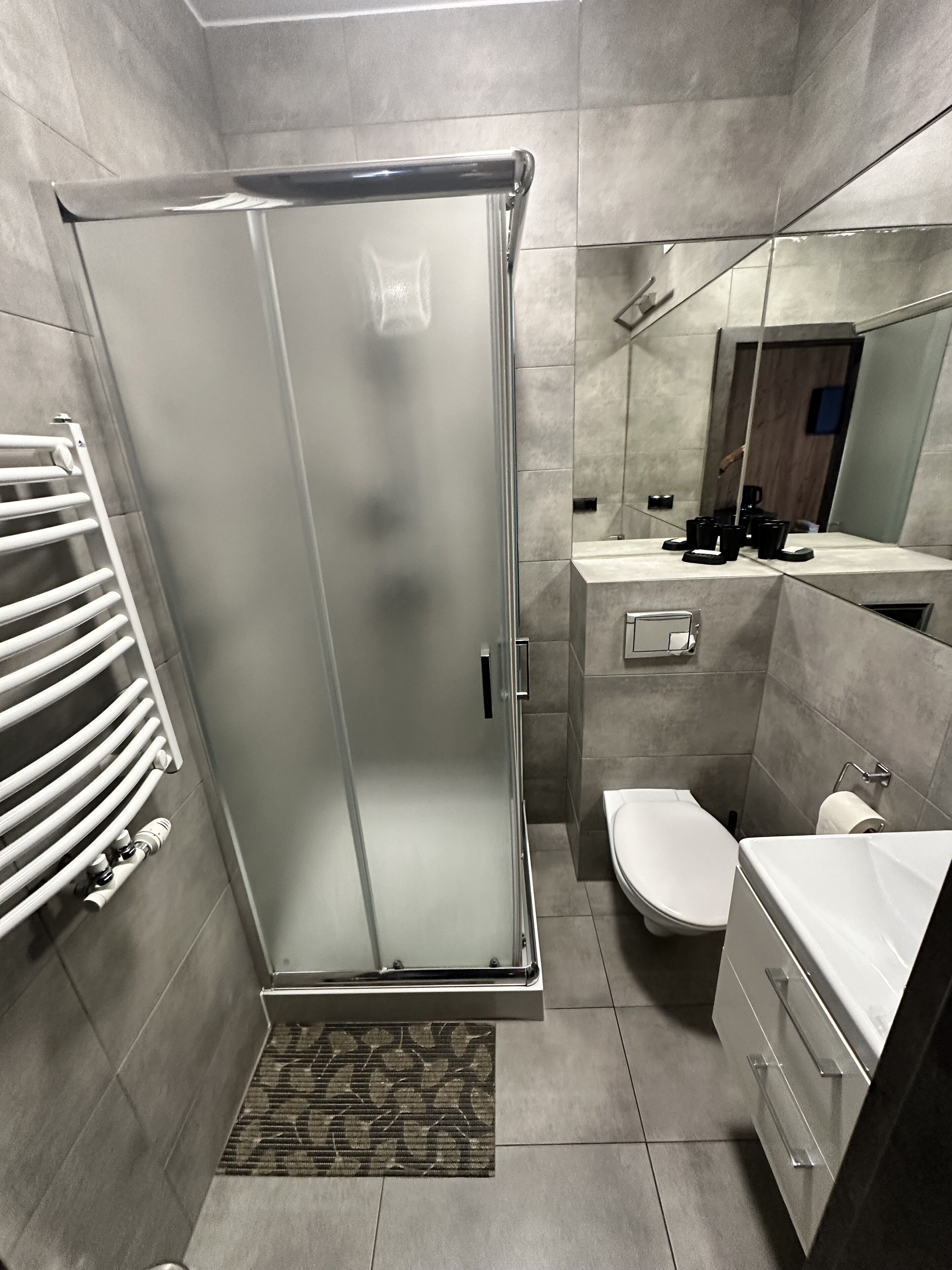 A modern bathroom with a glass shower enclosure, a toilet, a sink with a mirror, and a towel rack.