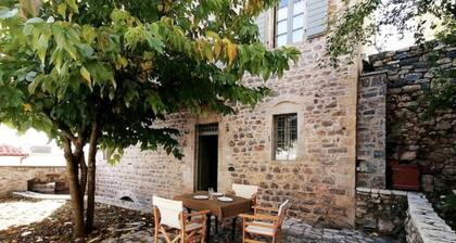 The Doctor’s Mansion - Arkadia