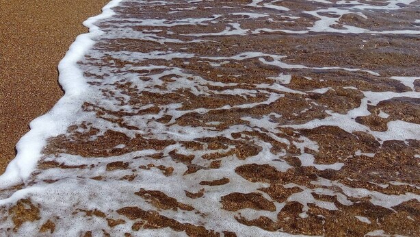 Ein Strand mit sandigem Ufer und sanften Wellen.