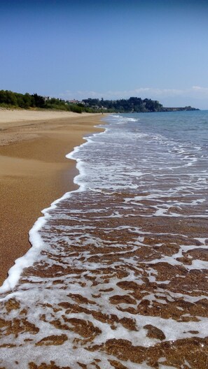 Una playa con arena dorada y olas suaves.