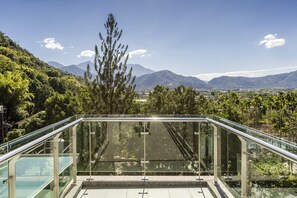 Property grounds - Hills Valleys (Puli)