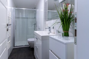 Business Apartment | Bathroom | Shower, free toiletries, hair dryer, towels