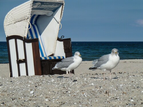 Apartment Rotes Haus am Barther Strom| Vacation at Beach, Bodden, National Park