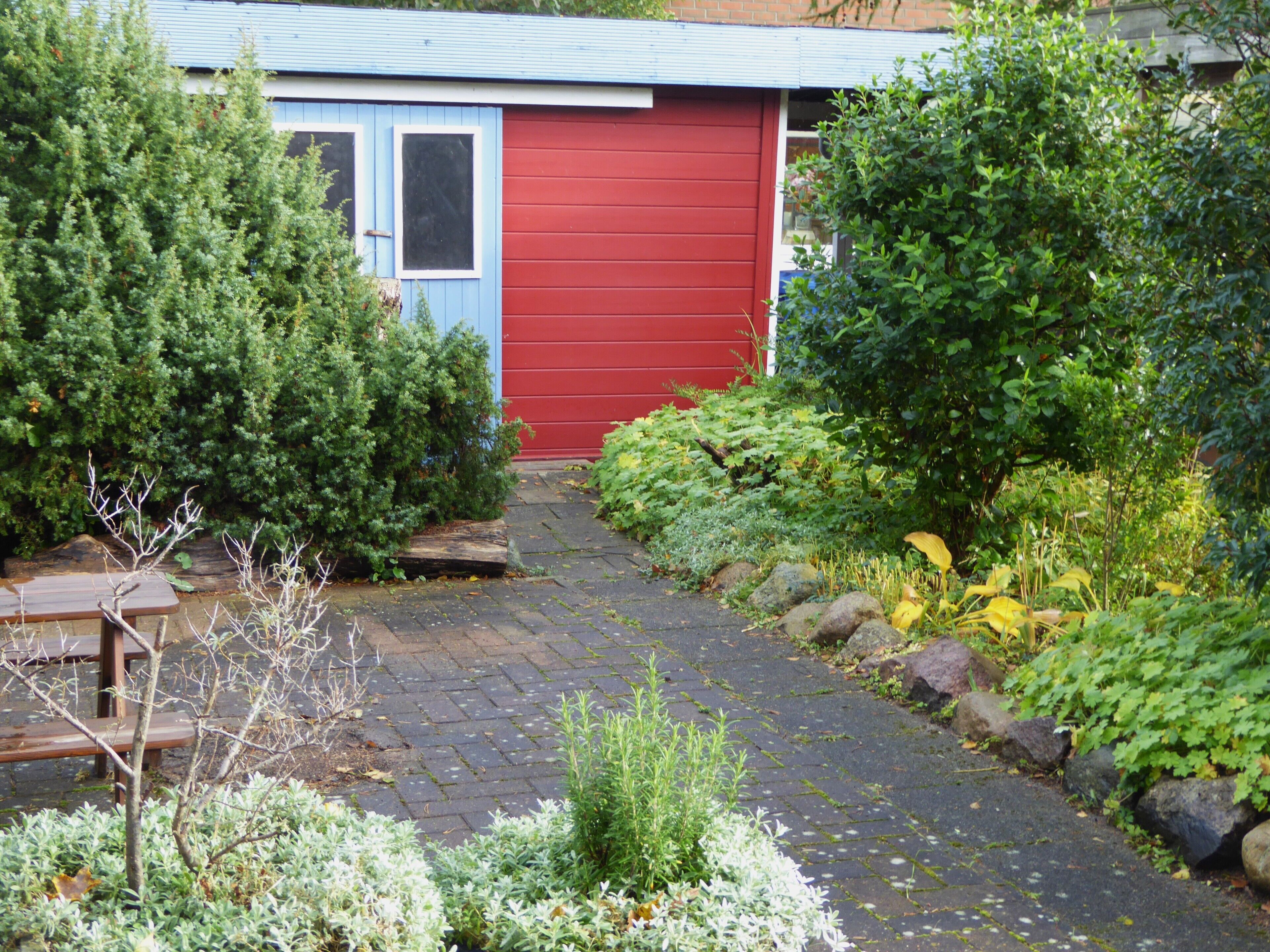 A garden pathway leading to a red door, surrounded by various shrubs and plants.