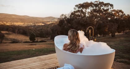 Tiny Ikigai Summary: