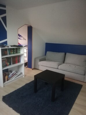 TV, fireplace, video games, ping pong