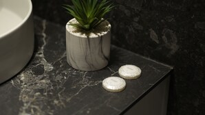Une salle de bain avec un comptoir en marbre, un pot en céramique blanche contenant une plante verte et deux distributeurs de savon.