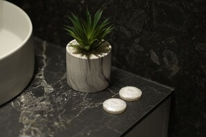 Douche, sèche-cheveux, bidet, serviettes fournies