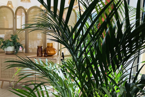 80-cm LCD TV with digital channels