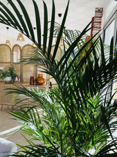 Motel Les Broussailles