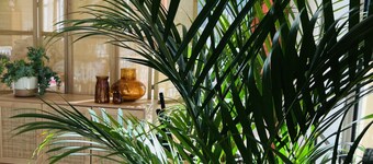 Motel Les Broussailles