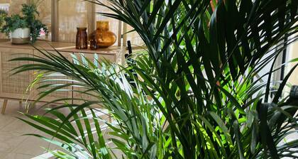 Motel Les Broussailles