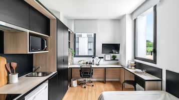 Premium Studio, 1 Bedroom | Desk, laptop workspace, soundproofing, free WiFi