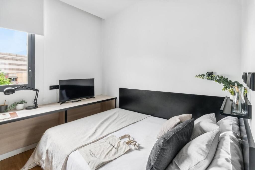 Una camera da letto moderna con un letto, una scrivania con un computer e una TV, una finestra e una pianta.
