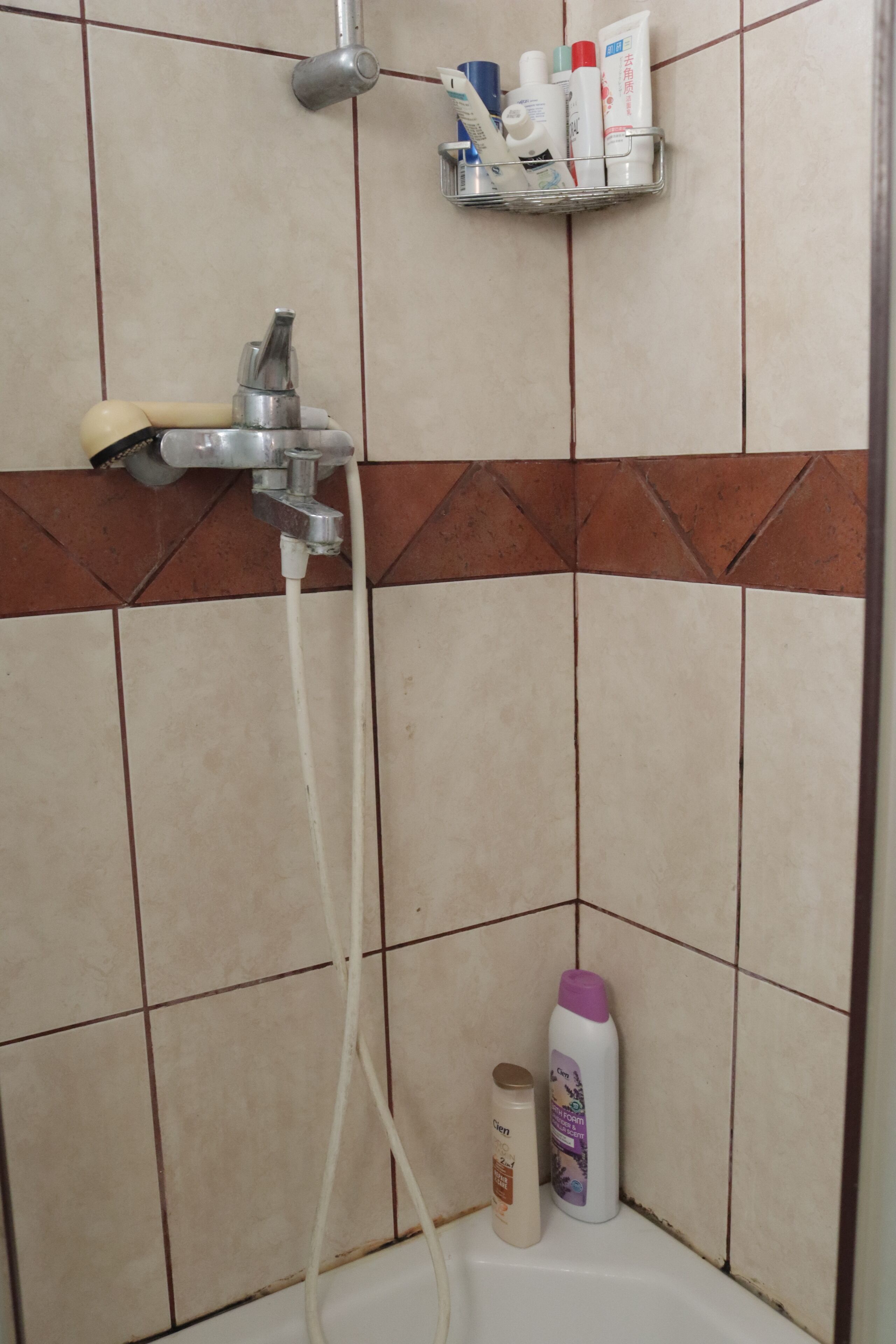 Shower, towels, shampoo, toilet paper