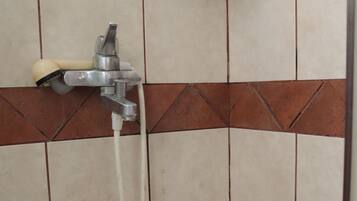 Shower, towels, shampoo, toilet paper