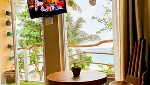 Una habitación con un amplio ventanal con vistas a la playa, un televisor fijado a la pared y una pequeña mesa redonda con una planta.