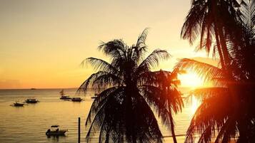 Paesaggio di spiaggia con palme e barche al tramonto.