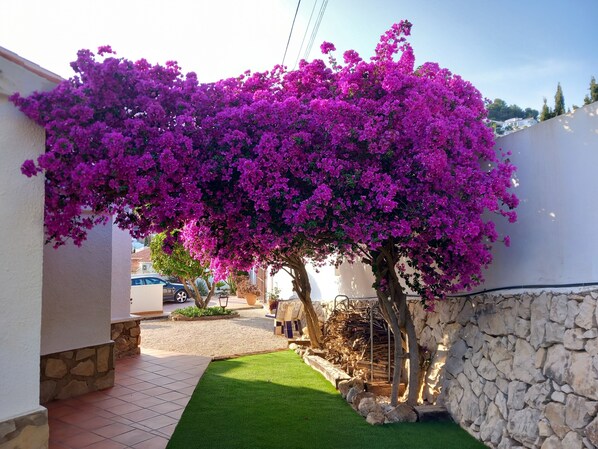 Property grounds - Villa Aucamar- Moraira (TEULADA MORAIRA)