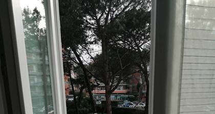 Studio Ostia tourist rental