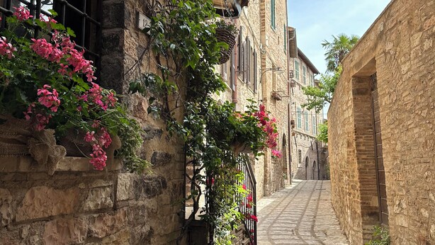A narrow stone-paved street flanked by historic buildings with stone walls, some with flower boxes and climbing plants. - HARMONY Residence (Spello)