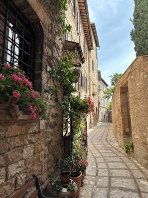 A narrow stone-paved street flanked by historic buildings with stone walls, some with flower boxes and climbing plants. - HARMONY Residence (Spello)