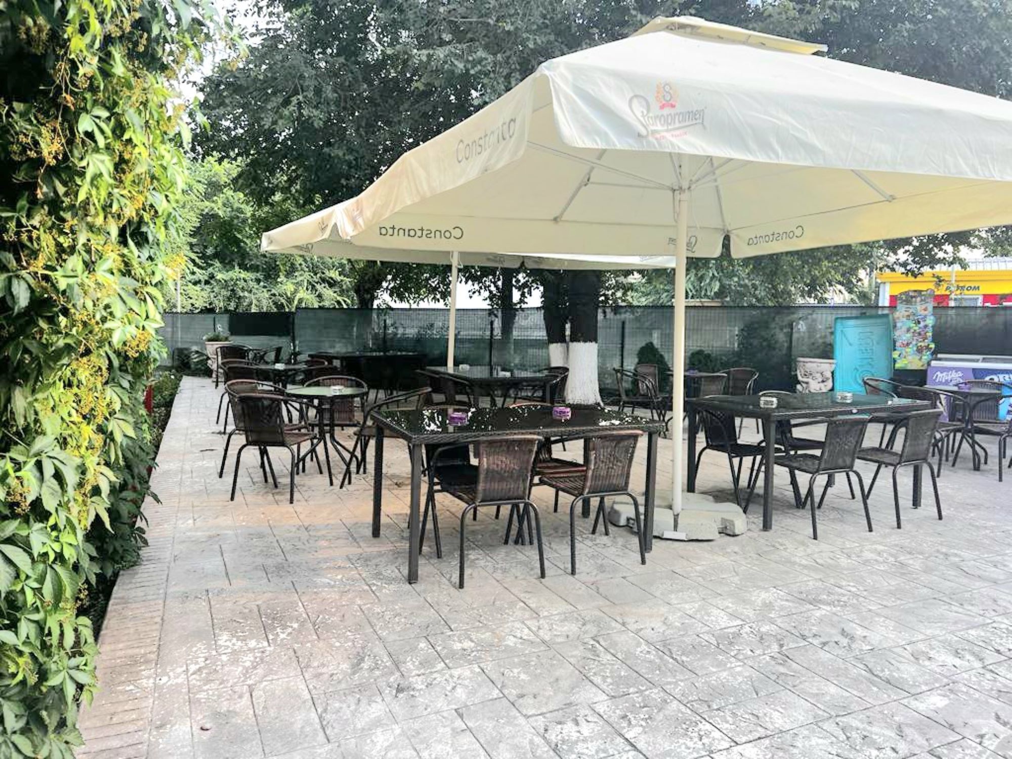 Un área de patio al aire libre con mesas y sillas bajo un paraguas grande, rodeada de follaje.