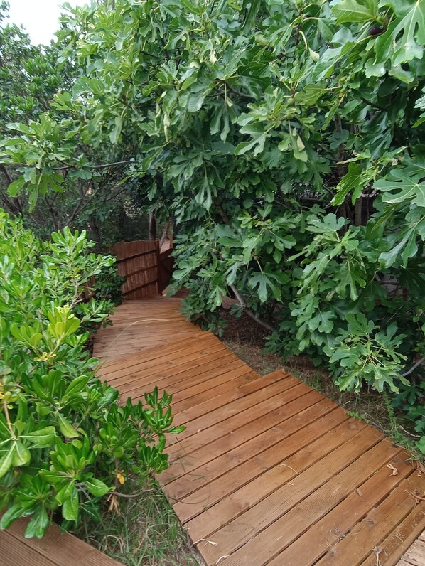 Property grounds - Pinarello - Quatre Pièces Dans un Écrin de Verdure (Zonza)