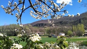 A rural landscape with blooming trees and a clear blue sky. - Chambre d'Hôtes l'Hôsting Noix (Hostun)