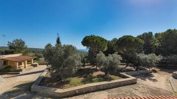 Appartamento | 3 camere