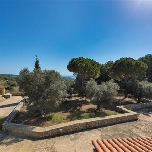 Lejlighed | 3 soveværelser