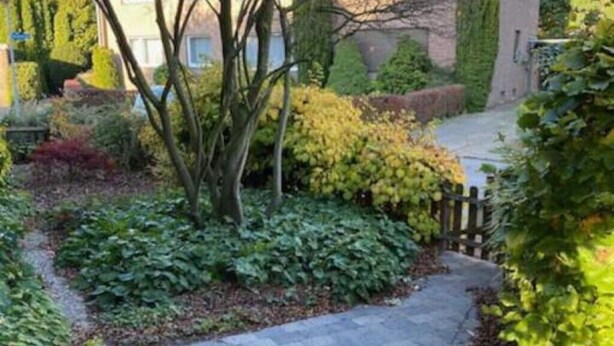 A garden pathway leading to a building with a stone facade and a wooden fence.