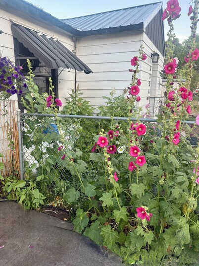 Private Entrance Guest Suite Apartment