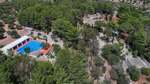 Vue aérienne d’une propriété dotée d’une piscine entourée d’arbres.
