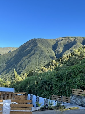 Vista desde la propiedad