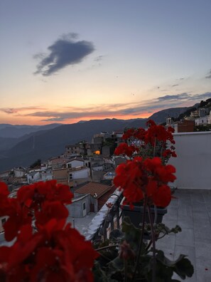 Un toit orné de fleurs rouges, une vue sur la ville avec ses bâtiments, et un coucher de soleil en arrière-plan.
