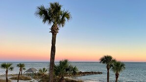 Une scène de plage avec des palmiers et un kiosque au bord de l’eau.